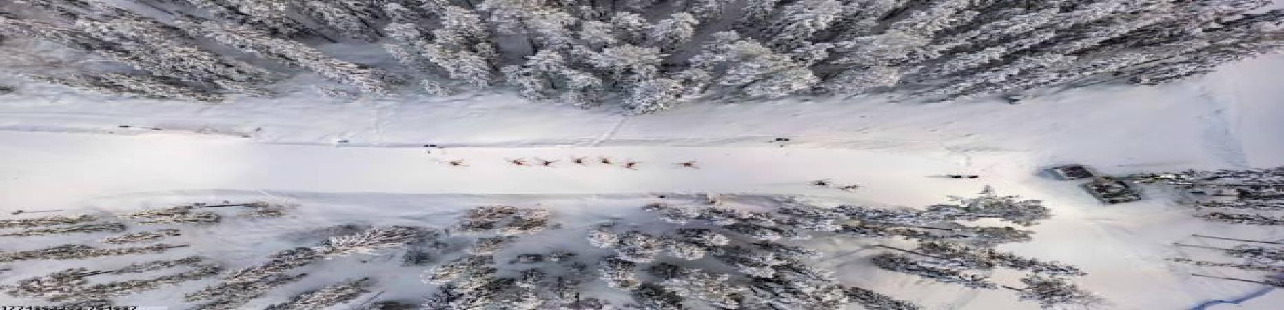 世界杯赛事预测网全球赛事直播汇聚