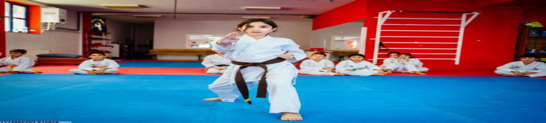 世界杯赛事预测网简介